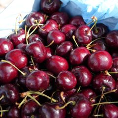 Cherry Mỹ size 8.5