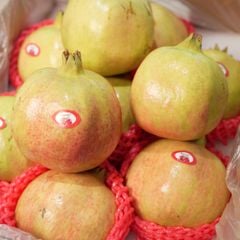 Lựu Ruby