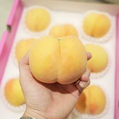 Đào vàng