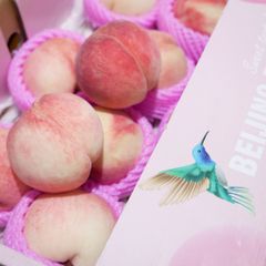Đào Bắc Kinh