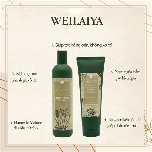 Dầu gội + dầu xả Hà Thủ Ô Weilaiya