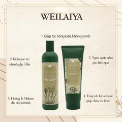 Dầu gội + dầu xả Hà Thủ Ô Weilaiya