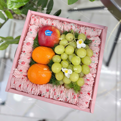 HỘP QUÀ TRÁI CÂY 8