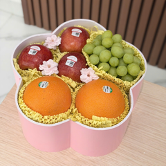 HỘP QUÀ TRÁI CÂY 9