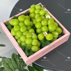 HỘP QUÀ TRÁI CÂY 10