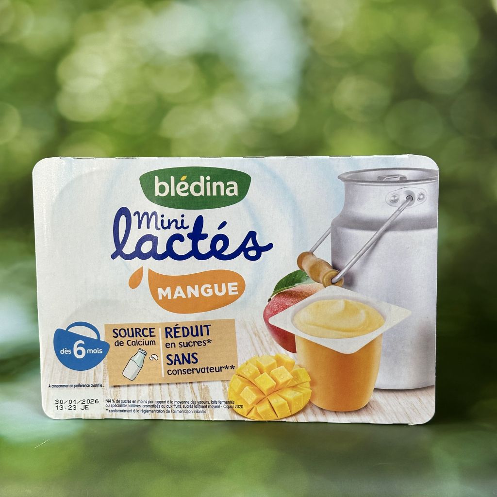 Sữa Chua Blédina Mini Lactés Vị Mangue (330g)