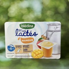 Sữa Chua Blédina Mini Lactés Vị Mangue (330g)