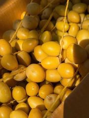 Chà Là Tươi Thái