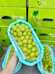 Nho Sữa Mẫu Đơn