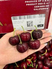 Cherry Mỹ Size 9.5