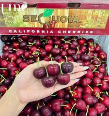 Cherry Mỹ Size 9.5