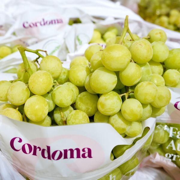 Nho Xanh Autumn Úc 8.2kg