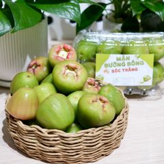 Mận đường xanh Sóc Trăng (kg)