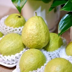 Ổi trân châu Đài Loan