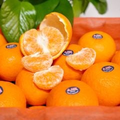 Quýt PH TW size42 (kg)