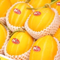 Dưa Lê Giống Hàn