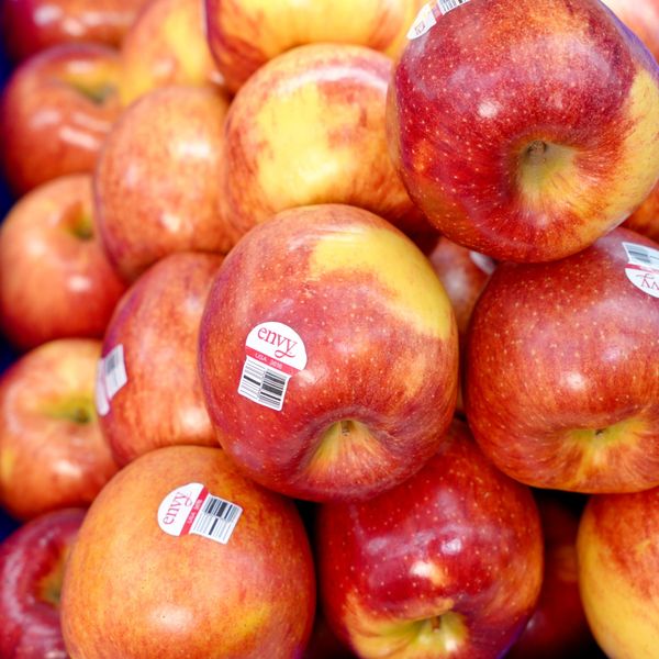 Táo envy Mỹ size 28