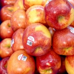 Táo envy Mỹ size 28