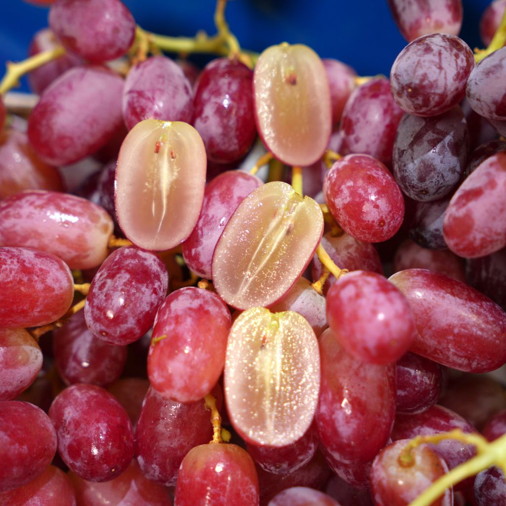 Nho đỏ Úc 8.2kg (kg)