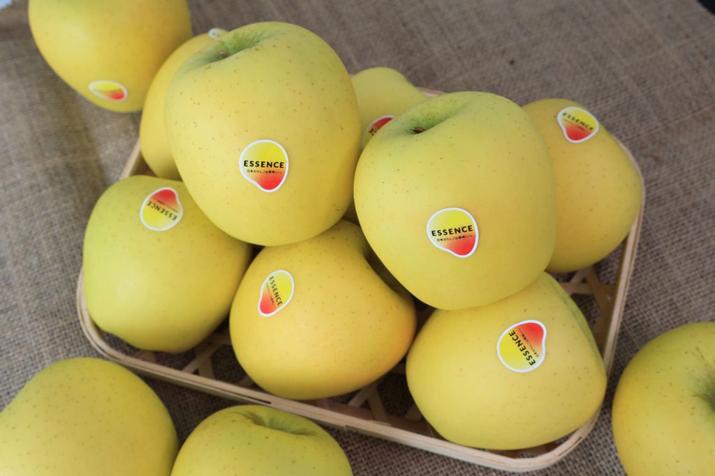 Táo Vàng Nhật Essence