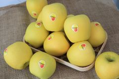 Táo Vàng Nhật Essence