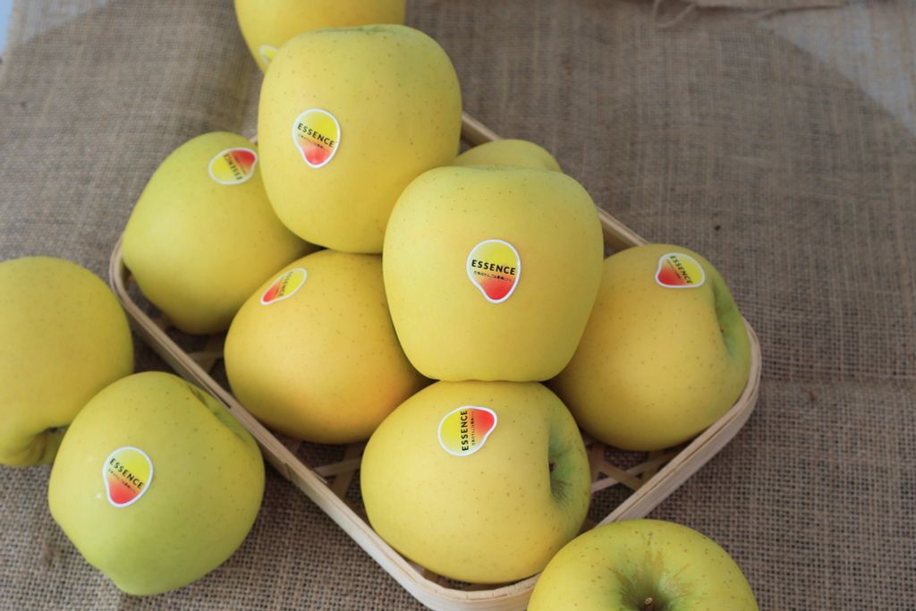 Táo Vàng Nhật Essence