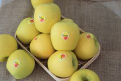 Táo Vàng Nhật Essence