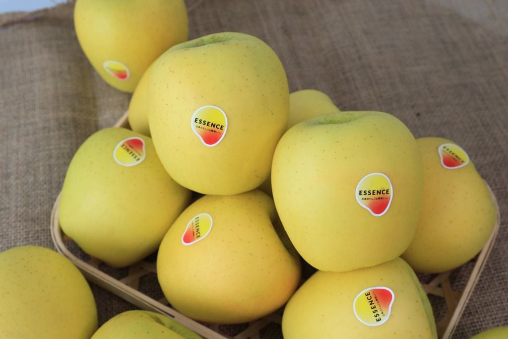 Táo Vàng Nhật Essence