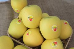 Táo Vàng Nhật Essence