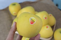 Táo Vàng Nhật Essence