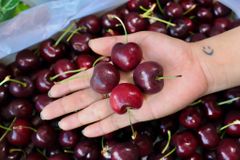 Cherry Mỹ Size 8.5