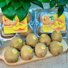Kiwi Đài Loan loại hộp