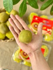 Kiwi đỏ loại hộp