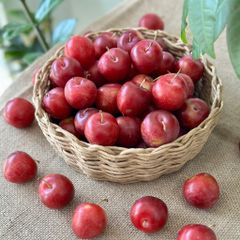 Mận Cherry Úc