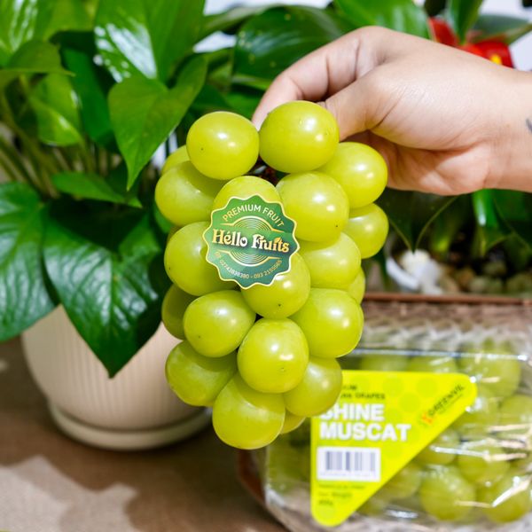 Nho mẫu đơn Hàn hộp 450g