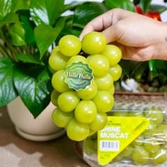 Nho mẫu đơn Hàn hộp 450g