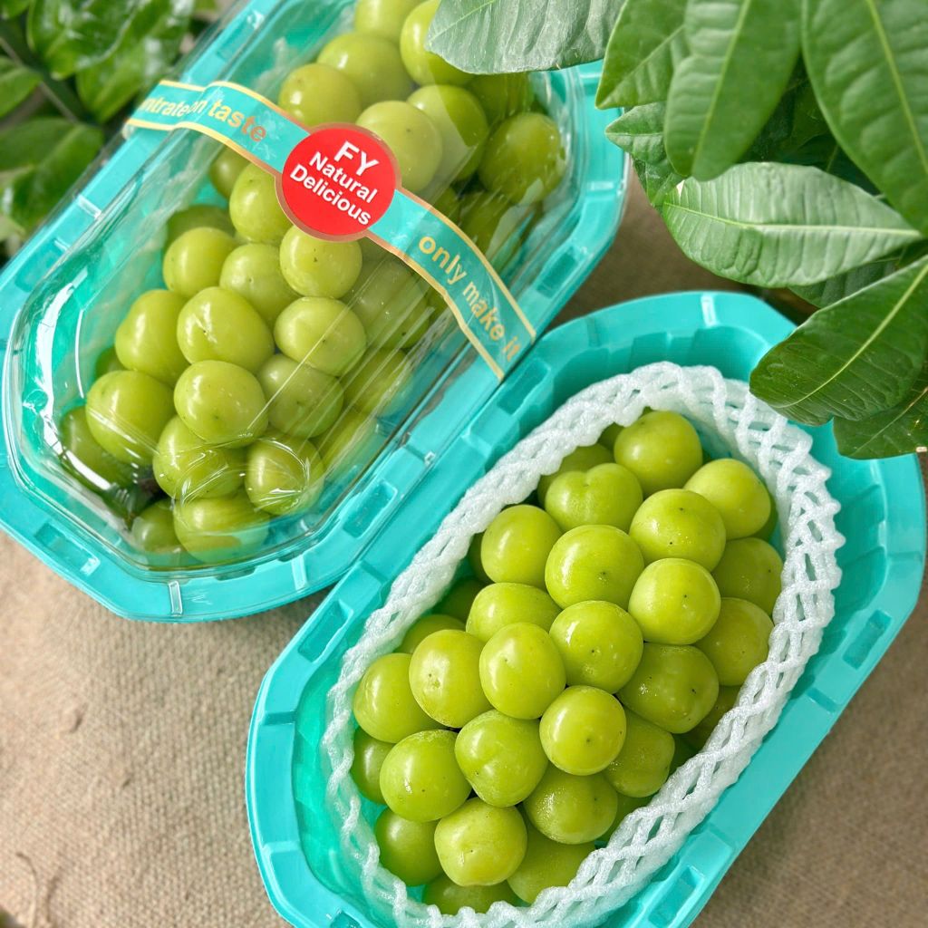 Nho sữa Đài Loan loại hộp trung
