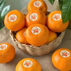 Quýt Mikan Nhật Bản