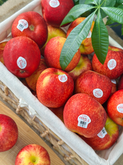 Táo Envy size nhỏ