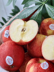 Táo Envy size nhỏ