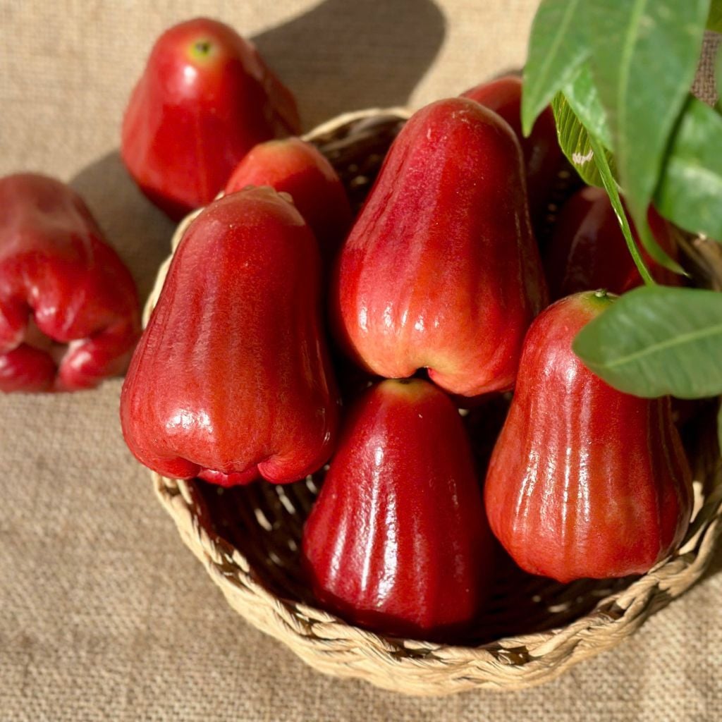 Mận An Phước Tiền Giang