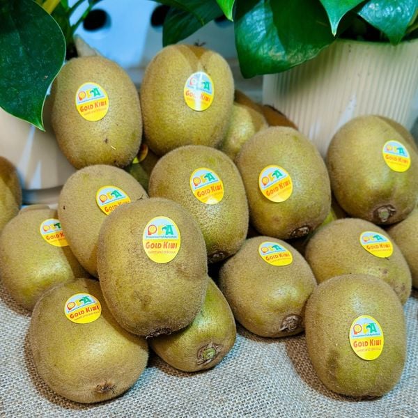 Kiwi Đài Loan size16 (kg)