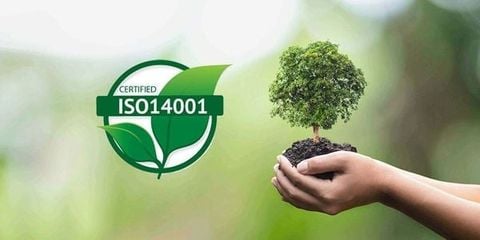  Dịch vụ Tư vấn Đào tạo Tiêu chuẩn ISO 14001 (Hệ thống Quản lý Môi trường) 