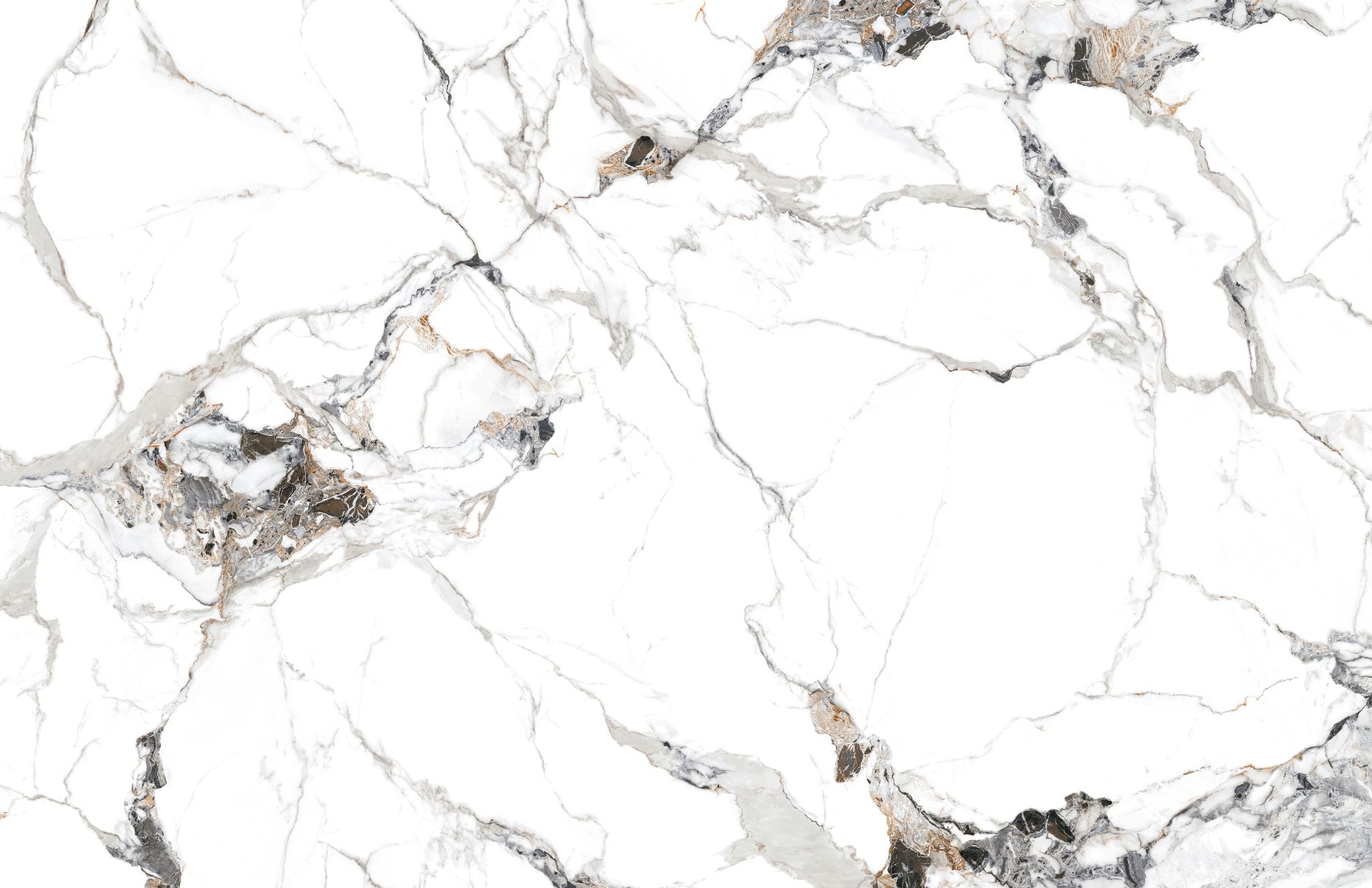  Calacatta Pietra - Artisan Collection 