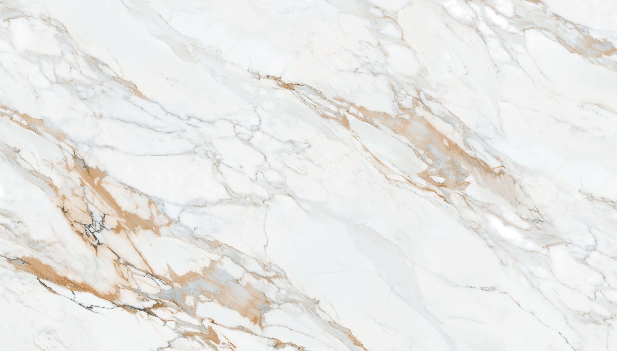  Calacatta Golden White - Phiên bản giới hạn 