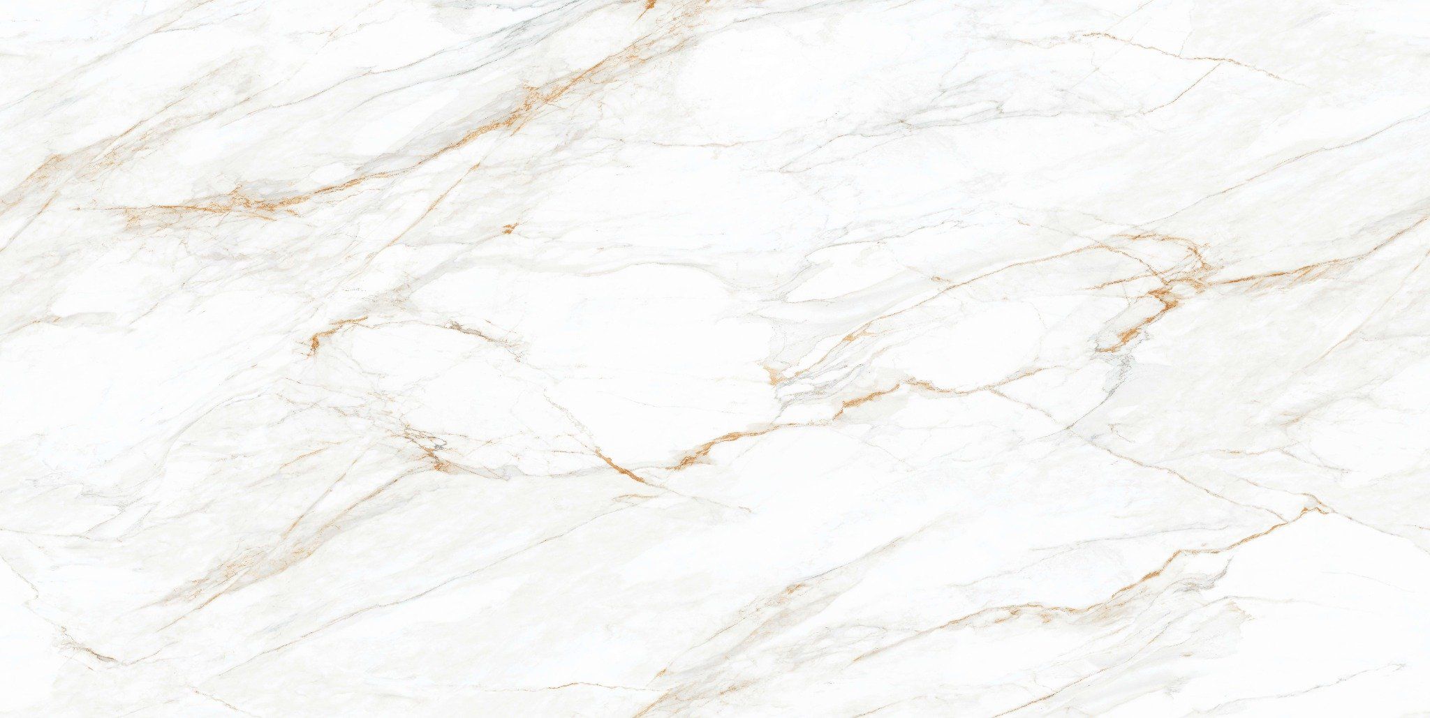  Calacatta Borghini Grande - Premia Collection 