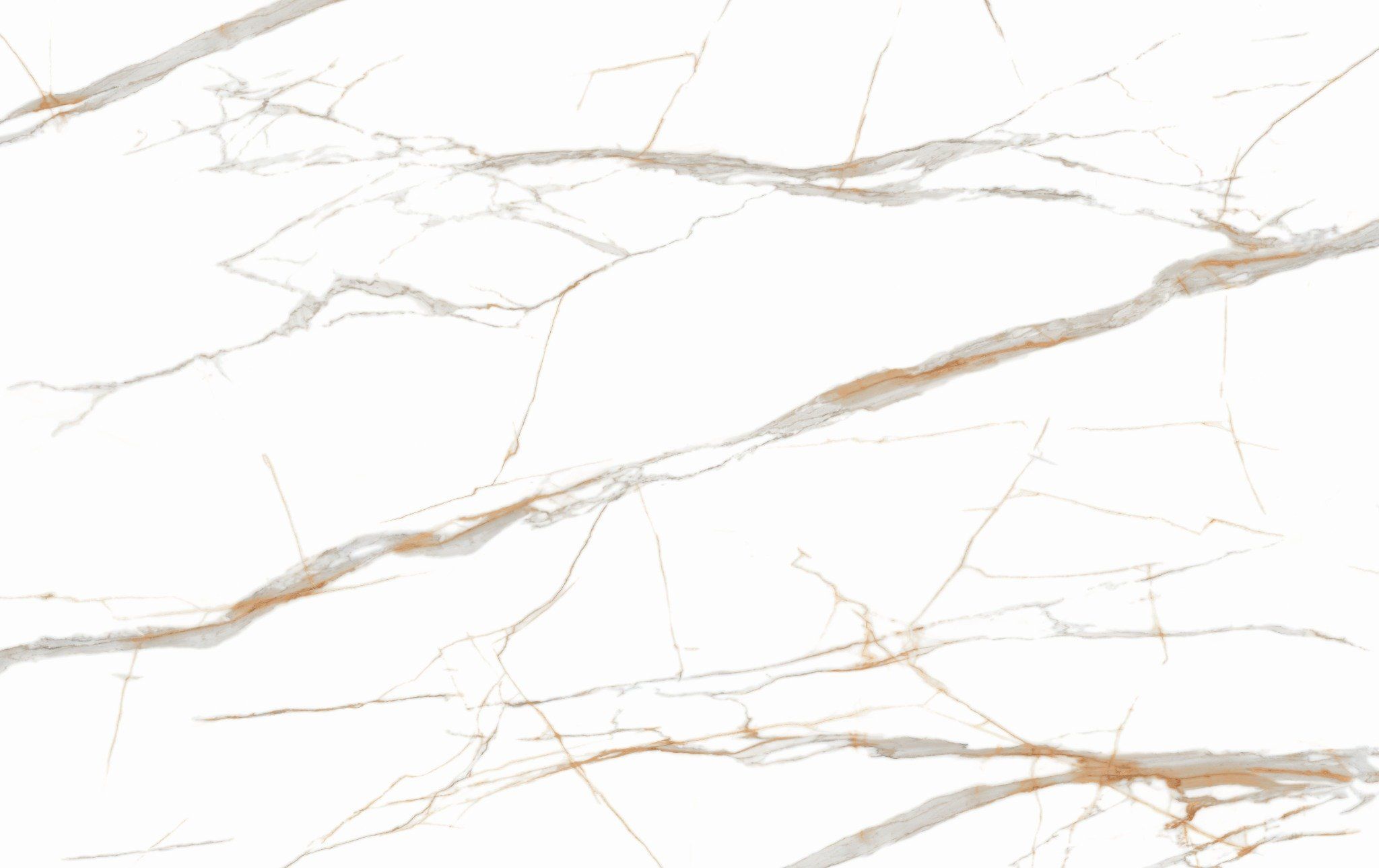  Calacatta Venecia Largo - Premia Collection 