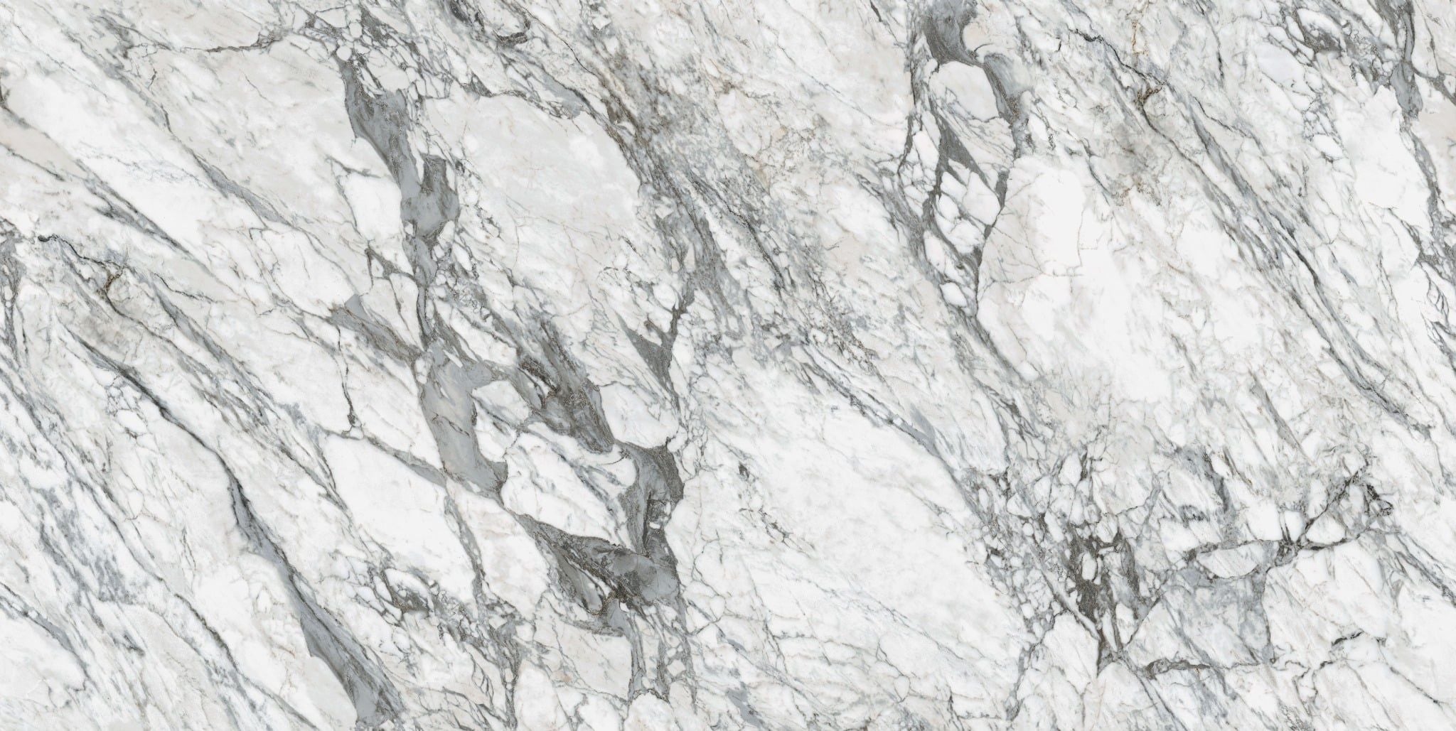  Arabescato Grigio Royale - Royale Collection 