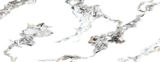  Calacatta Foschia Elite - BST Elite 
