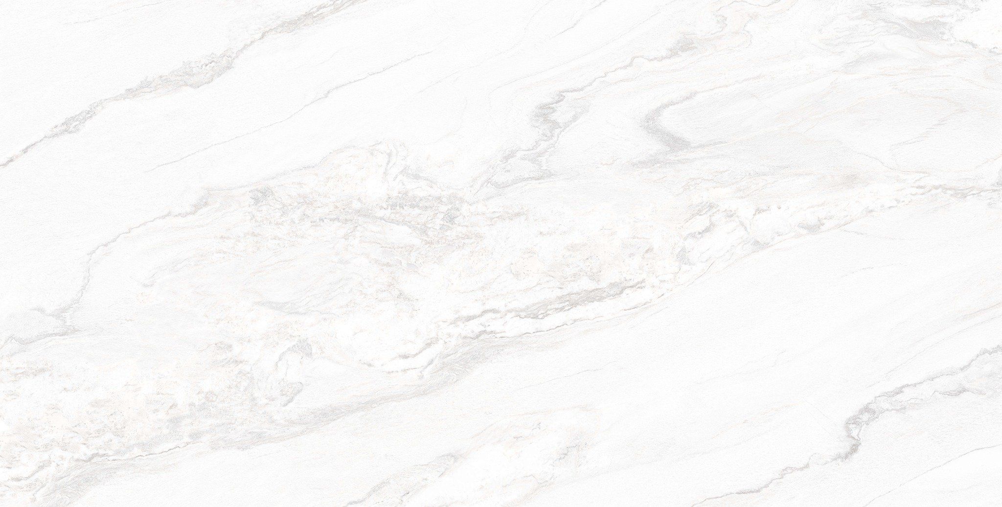  Sogno Bianco Grosso - BST Natura 